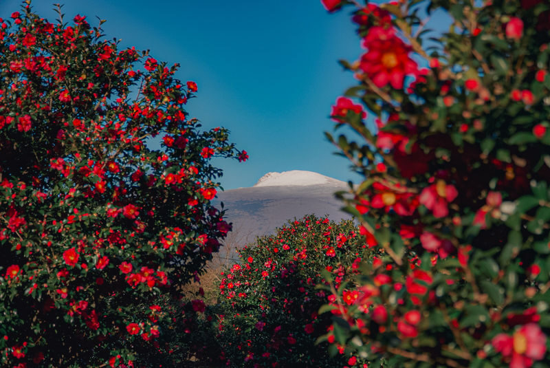 Jeju Yongnuni Oreum & Ilchulbong Full-Day Private Tour - Who should book this East Jeju day?