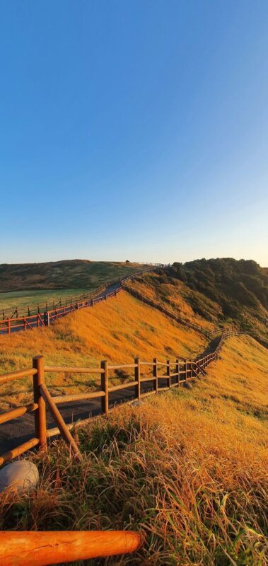 Jeju Your Way: 9/5-Hour Fully Customizable Private Tour - Sinchang’s windmills and open coast