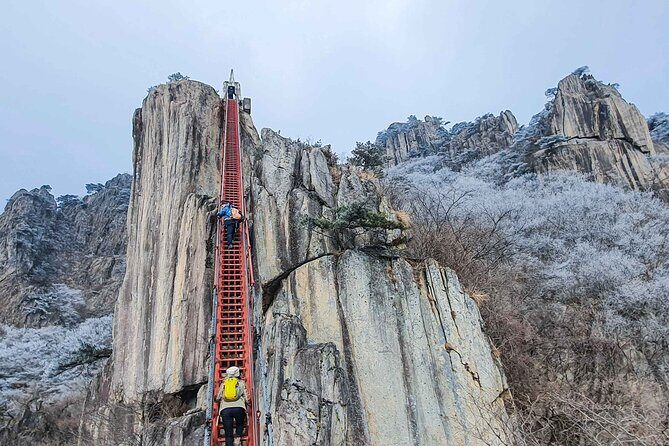 Jeonju Hanok Village and Daedunsan Serenity Nature Tour - The Sum Up: Is This Tour Worth It?