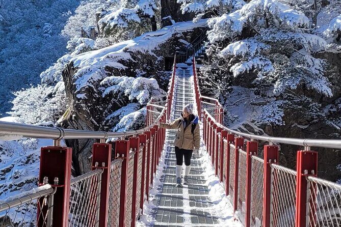 Jeonju Hanok Village and Daedunsan Serenity Nature Tour - FAQ