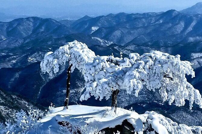 Jeonju Hanok Village and Daedunsan Serenity Nature Tour - Returning to Seoul: A Long but Rewarding Day