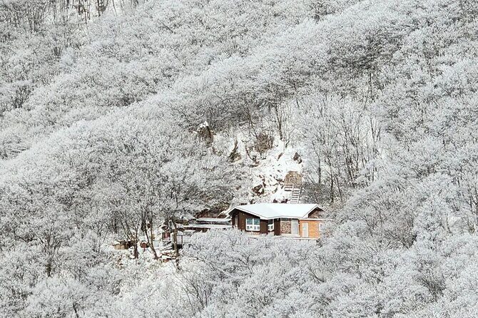 Jeonju Hanok Village and Daedunsan Serenity Nature Tour - Real Experiences and Practical Insights