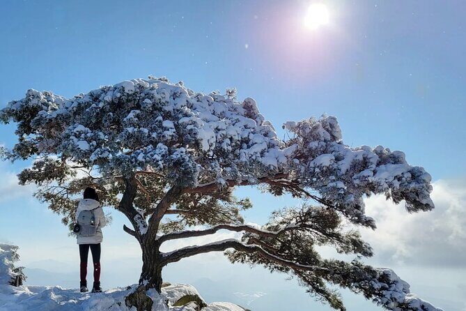 Jeonju Hanok Village and Daedunsan Serenity Nature Tour - FAQs