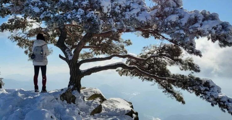 Jeonju Hanok Village and Daedunsan Serenity Nature Tour - Itinerary Details