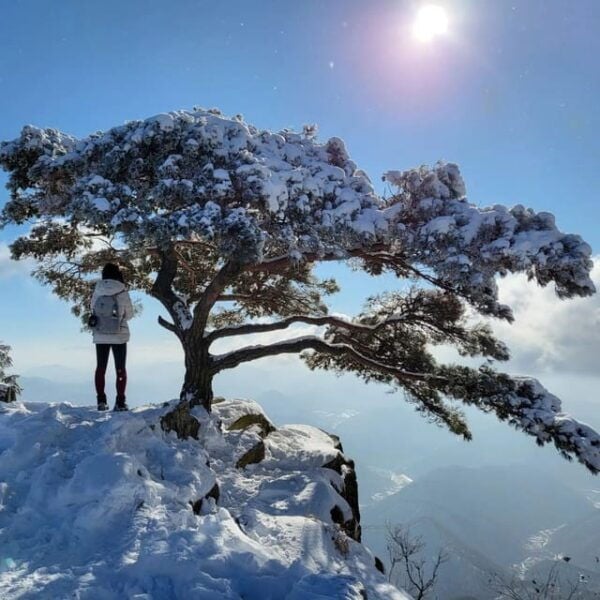 Jeonju Hanok Village and Daedunsan Serenity Nature Tour - Guidance and Support