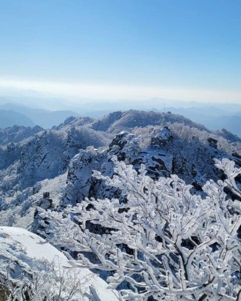 Jeonju Hanok Village and Daedunsan Serenity Nature Tour - Booking Information