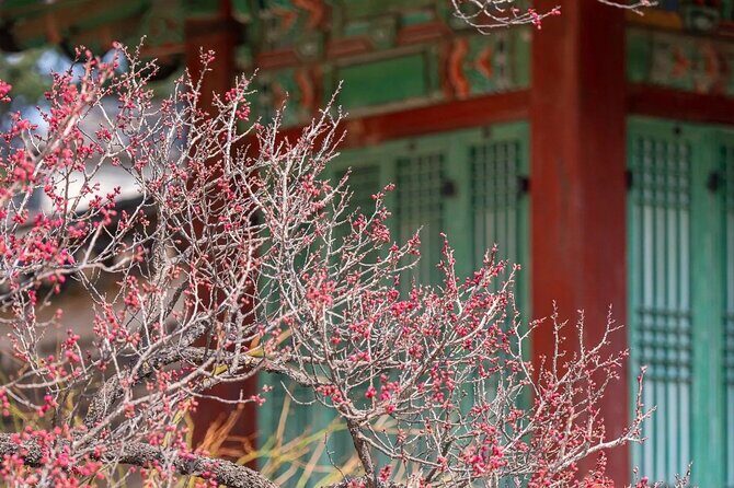 Jeonju Hanok Village and Plum Blossom Festival Shared Tour - FAQs About the Jeonju Hanok Village and Plum Blossom Festival Tour