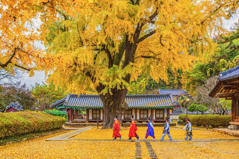 Jeonju Hanok Village Tour from Seoul - Who will get the most from this trip?
