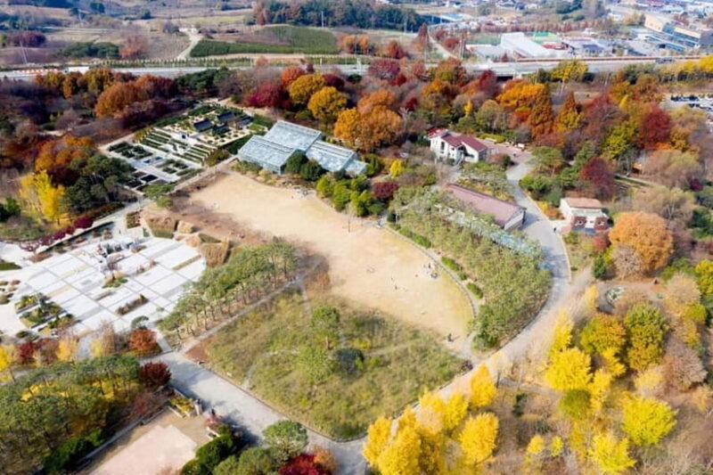 Jeonju: Private Taxi Tour Car Charter - Final Thoughts