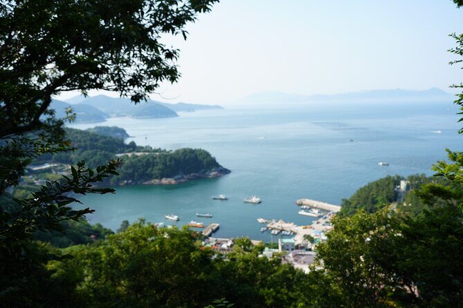 Jeonju & Yeosu: 4-Day Foodie & Artist Journey - Who is This Tour Best Suited For?