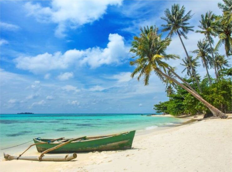 Jepara & Yogyakarta: One Way Private Transfer - Transfer Details
