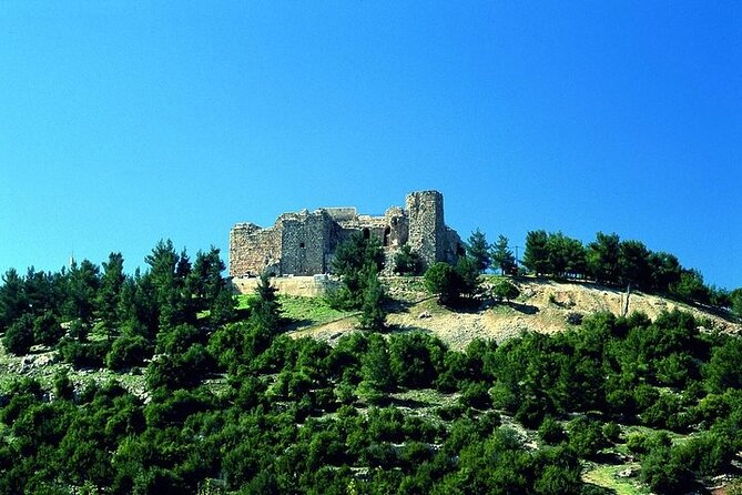 Jerash and Ajloun Castle Full Day Tour - Frequently Asked Questions