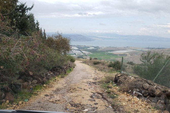 Jerash, Umm Qais, Cave of Jesus From Amman - Price, Booking, and Reviews