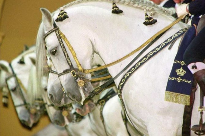 Jerez and Cadiz Day Trip From Seville - General Comments and Recommendations