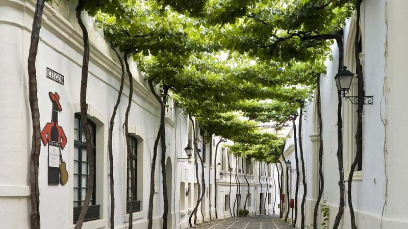 Jerez, Bodega Tío Pepe y Real Escuela de Arte Ecuestre - What to Expect from the Tour