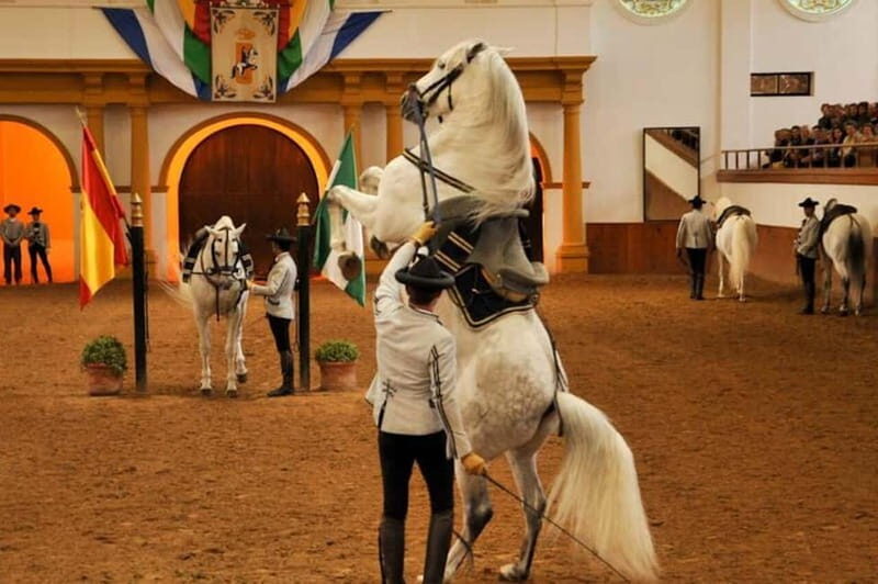Jerez, Bodega Tío Pepe y Real Escuela de Arte Ecuestre - Why This Tour Works for You
