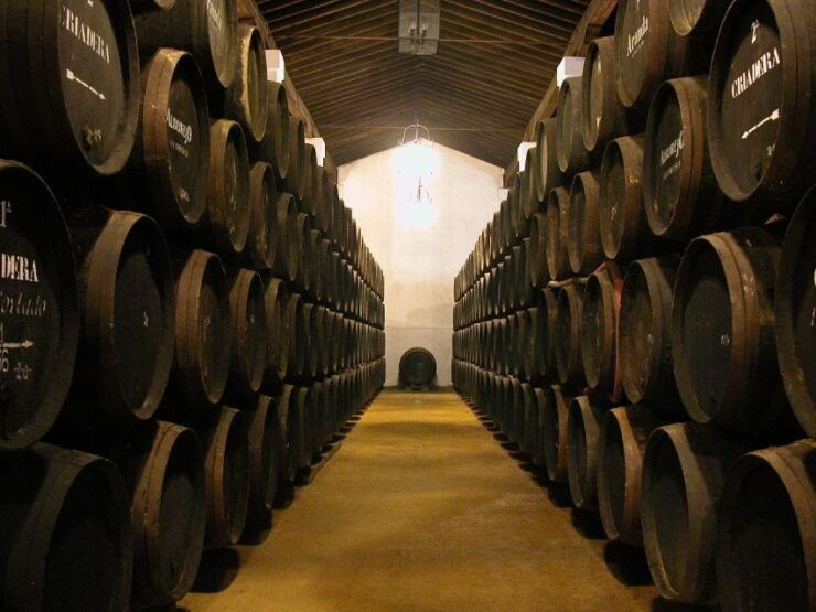 Jerez: Bodegas Álvaro Domecq Guided Tour With 4 Wine Tasting - Cancellation and Reservation