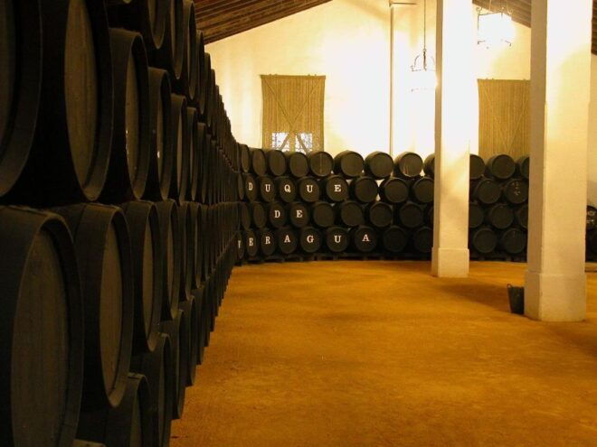 Jerez: Bodegas Álvaro Domecq Guided Tour With 4 Wine Tasting - Additional Information