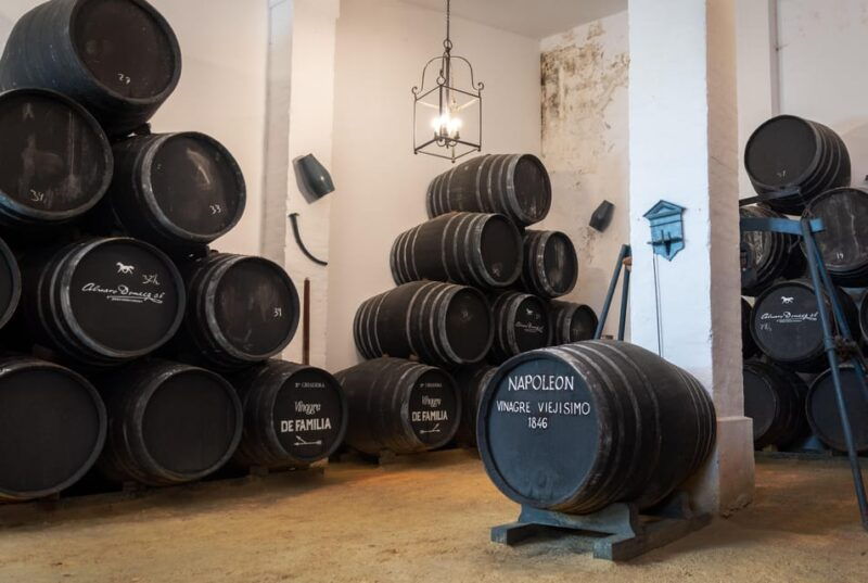 Jerez: Bodegas Álvaro Domecq Guided Tour With Wine Tasting - Experience and Highlights