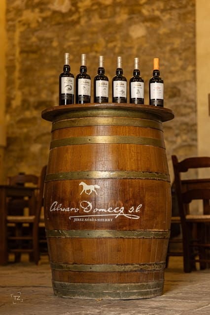Jerez: Bodegas Álvaro Domecq Guided Tour With Wine Tasting - Meeting Point and Location