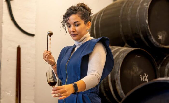 Jerez: Bodegas Álvaro Domecq Guided Tour With Wine Tasting - Exclusive Local Products and Wines