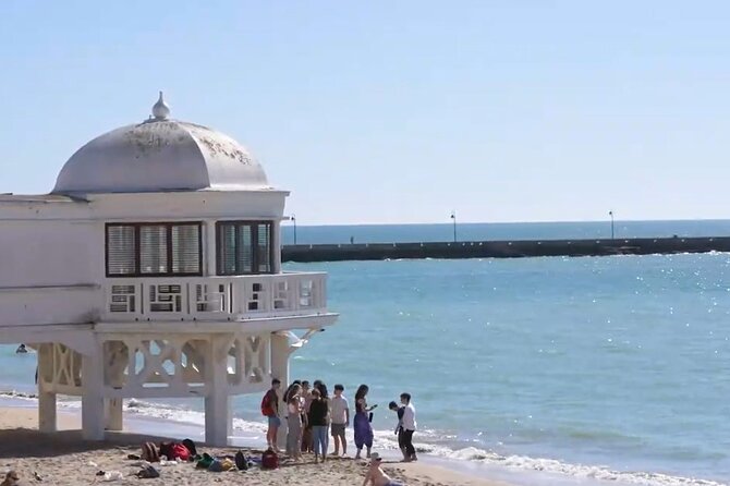 Jerez & Cadiz Winery With Tasting & Opt Horse Show From Seville - Tour Experience Feedback