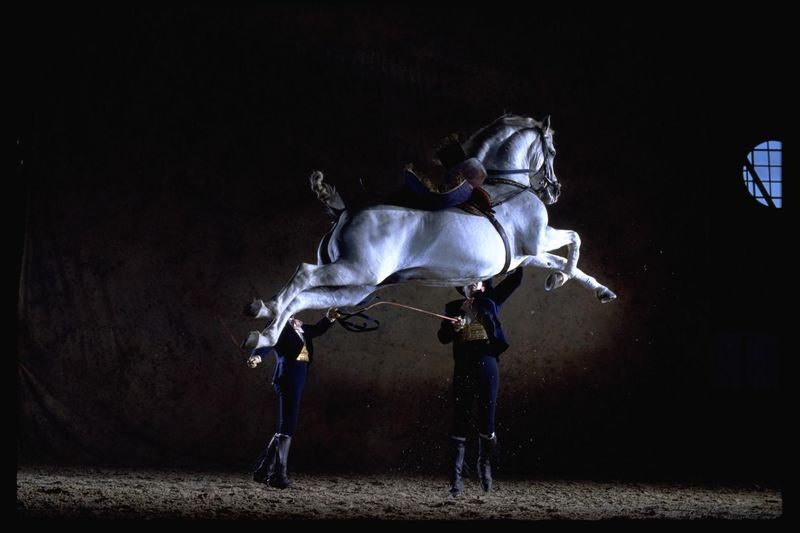 Jerez de la Frontera and Cadiz Day Tour from Seville with Horse Show - Key points before you book