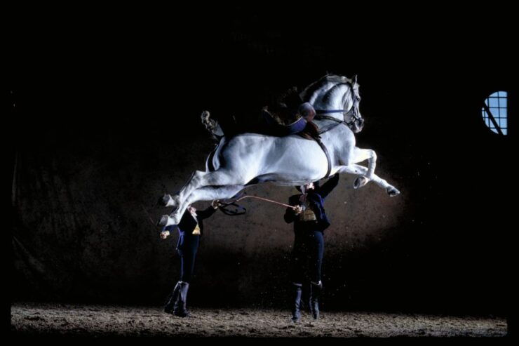 Jerez De La Frontera: Andalusian Horse Dance and Museums - Explore the Art Equestrian Museum