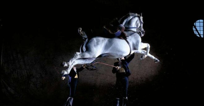 Jerez De La Frontera: Andalusian Horse Dance and Museums - Discover the Carriage Museum