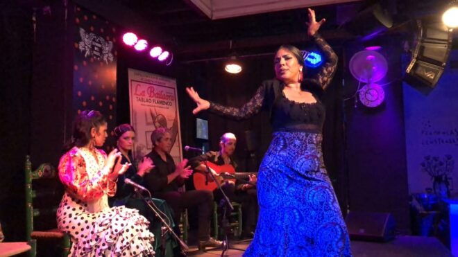 Jerez De La Frontera: Flamenco Show (Optional Tapas) - Accessibility and Policies