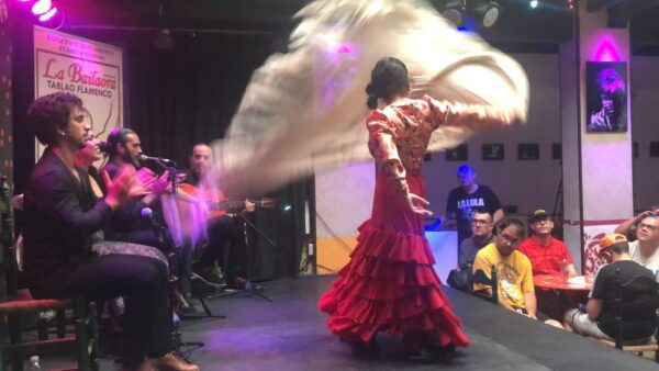 Jerez De La Frontera: Flamenco Show (Optional Tapas) - Show Experience Inclusions