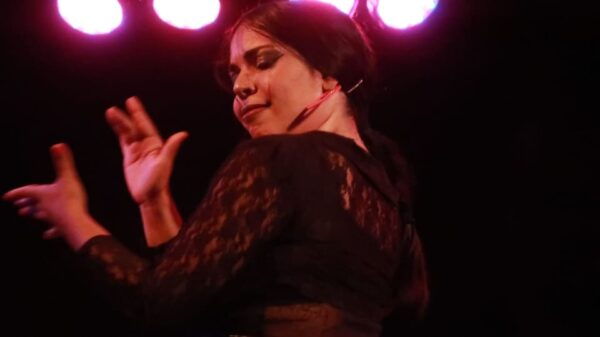 Jerez De La Frontera: Flamenco Show (Optional Tapas) - Frequently Asked Questions