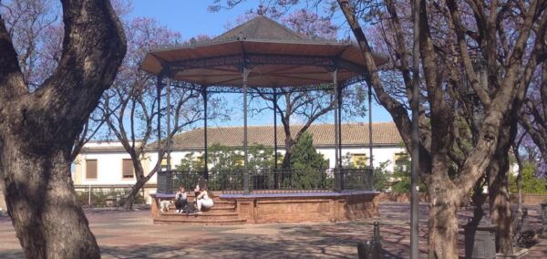 Jerez De La Frontera: Food, Flamenco, and Sherry Audio Tour - Flamenco History and Museum