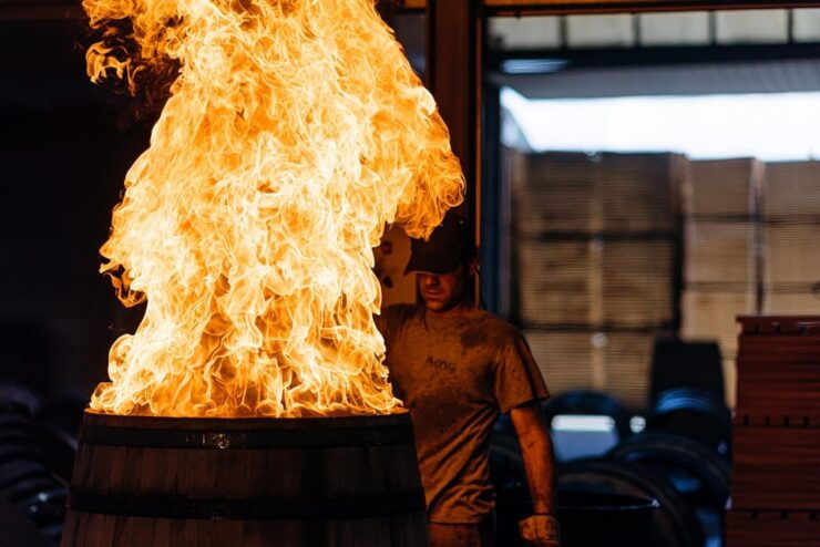 JEREZ DE LA FRONTERA: GUIDED TOUR TO THE COOPERAGE - Experience Highlights