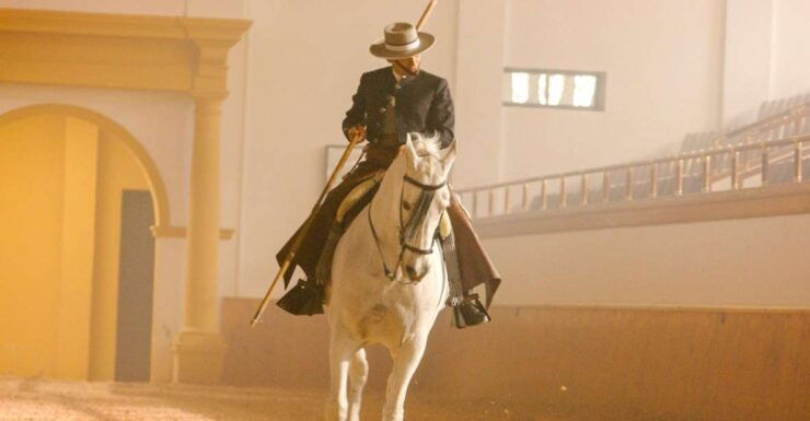 Jerez De La Frontera: How the Andalusian Horses Dance - Ticket Information and Booking Details