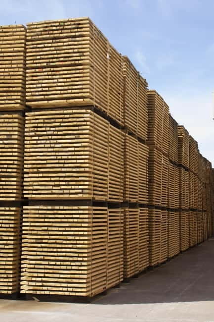 JEREZ DE LA FRONTERA: PREMIUM GUIDED TOUR TO THE COOPERAGE - Practical Details & Tips