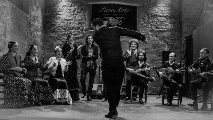 Jerez: Flamenco Show & Optional Dinner at Tablao Puro Arte - Experience Highlights