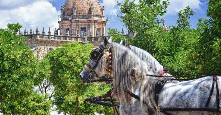 Jerez: Historic Center Guided Tour - Tour Highlights