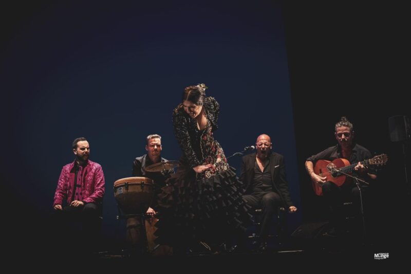 Jerez: Live Flamenco Show at La Guarida Del Angel - Ticket Information