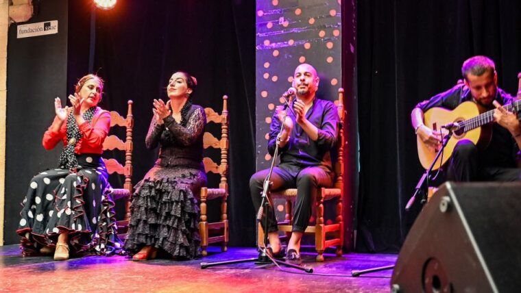 Jerez: Live Flamenco Show at La Guarida Del Angel - Experience Highlights