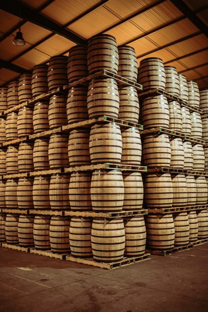 Jerez: Tour Bodegas Páez Morilla SPANISH/GERMAN - Exploring Jerezs Rich Winemaking History