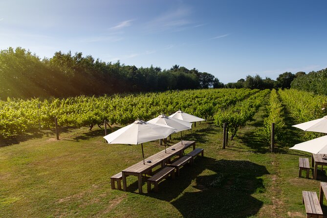 Jersey Premium Vineyard and Distillery Wine Tour and Tasting - Tour Guide Details