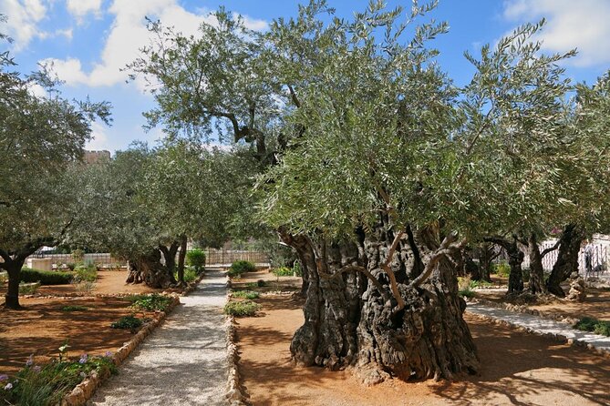 Jerusalem and Bethlehem or Dead Sea From TA Private Full Day Tour - Good To Know