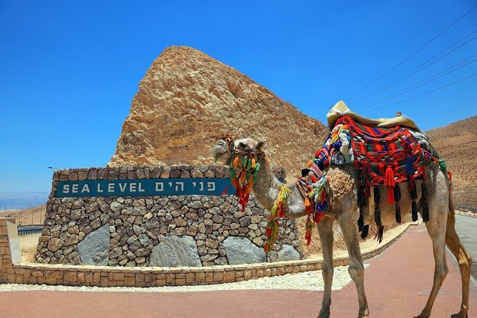 Jerusalem and the Dead Sea From Tel Aviv - Customer Testimonials