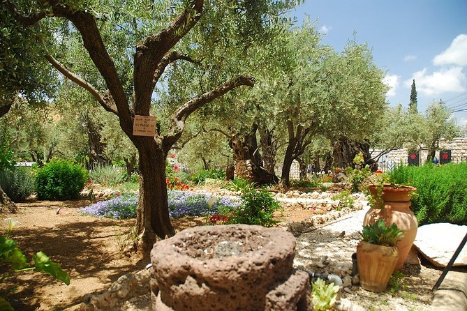 Jerusalem Old City & Mount Zion From Tel Aviv - Meeting Point Details
