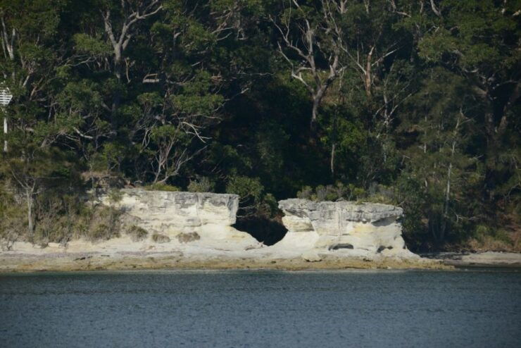 Jervis Bay: 2-Hour Cruise of Jervis Bay Passage - Activity Details