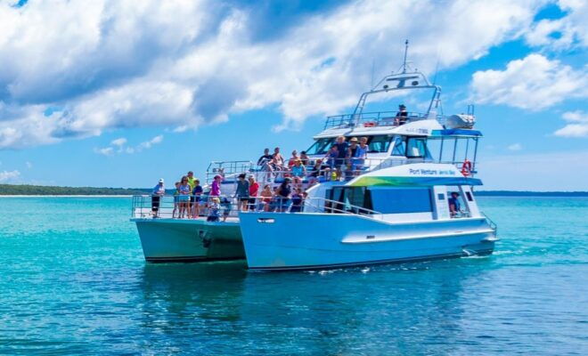Jervis Bay: 2-Hour Whale Watching Cruise - Select Participants and Date