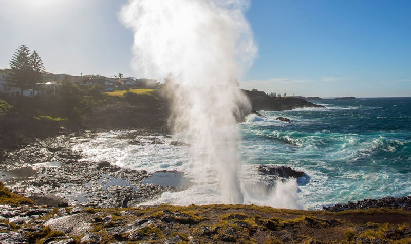 Jervis Bay and Kiama Blowhole Full-Day Bus Tour from Sydney - Jervis Bay, with dolphins as a bonus