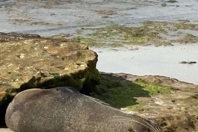 Jervis Bay and Shoalhaven South Coast NSW Private Tours - Final Thoughts