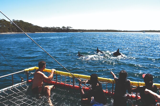 Jervis Bay Boom Netting and Dolphins Tour - Dolphin Spotting and Wildlife Observation